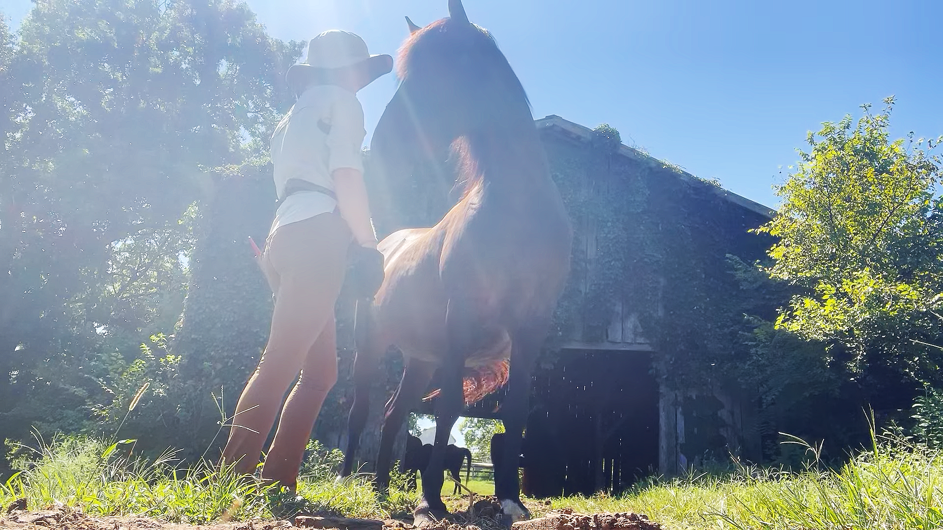 Accepting What Is Without Trying To Change It