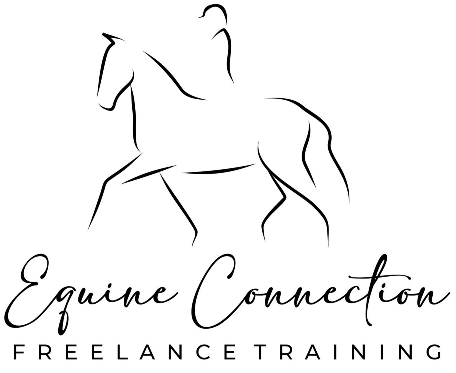 Equine Connection Freelance Training