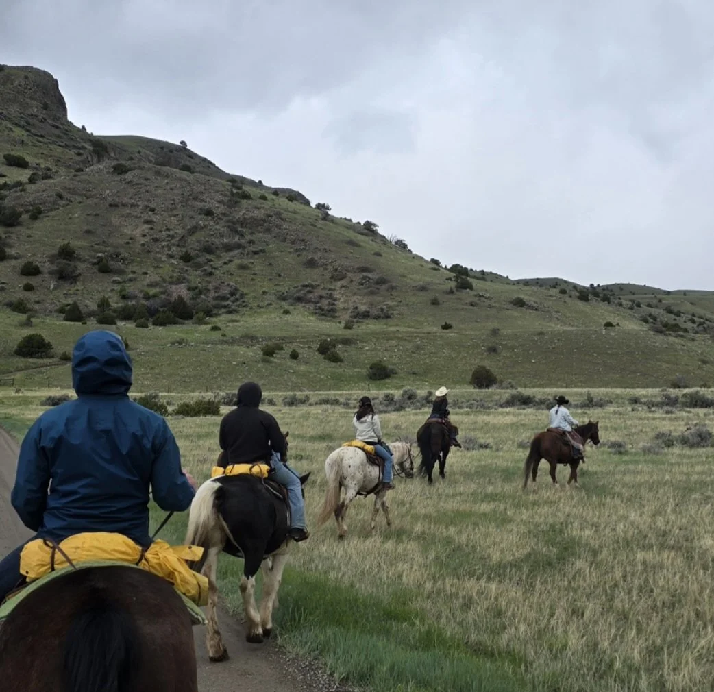Group of people riding horses on a trail through a grassy valley with hills and cloudy sky in the background.