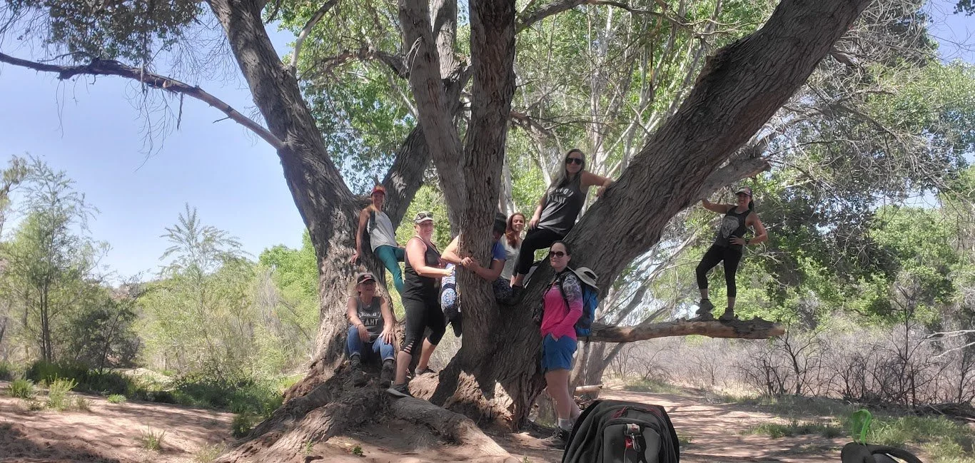 Group of eight women climbing and sitting on a large tree in a natural outdoor setting with green trees and bushes, under a blue sky.