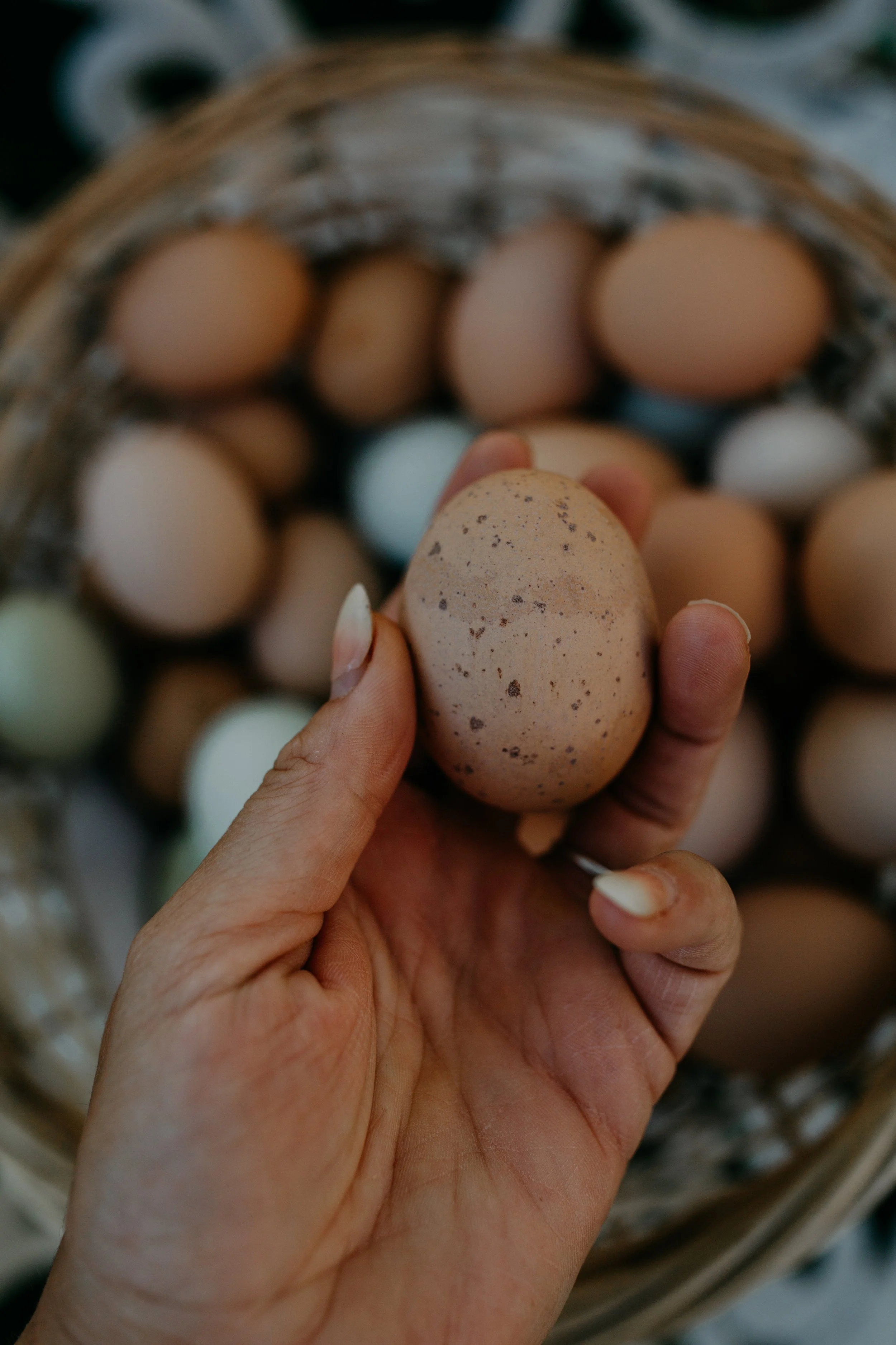 Linoleic Acid In Eggs