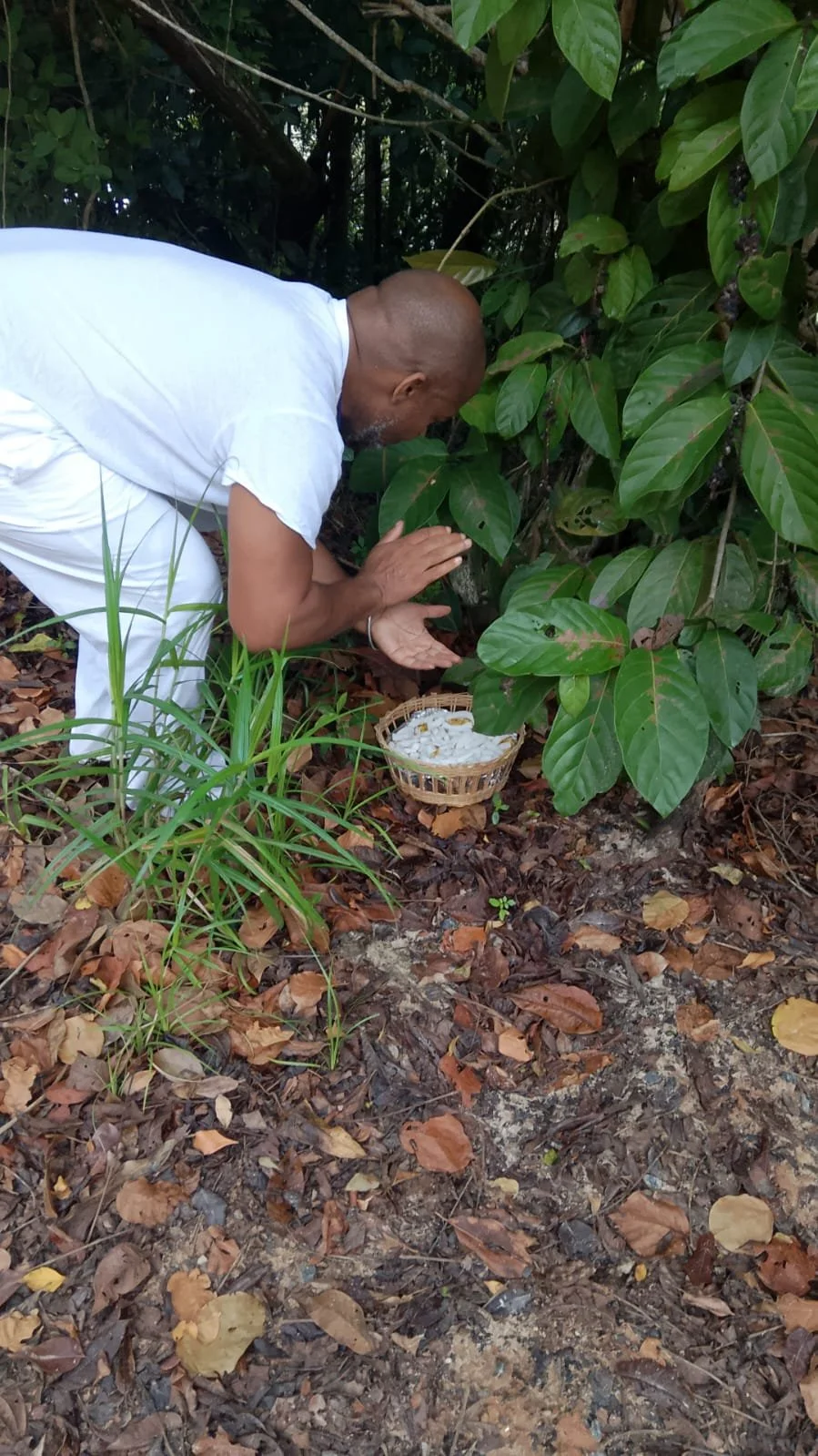 WhatsApp Image 2026-03-12 at 11.08.17.jpeg