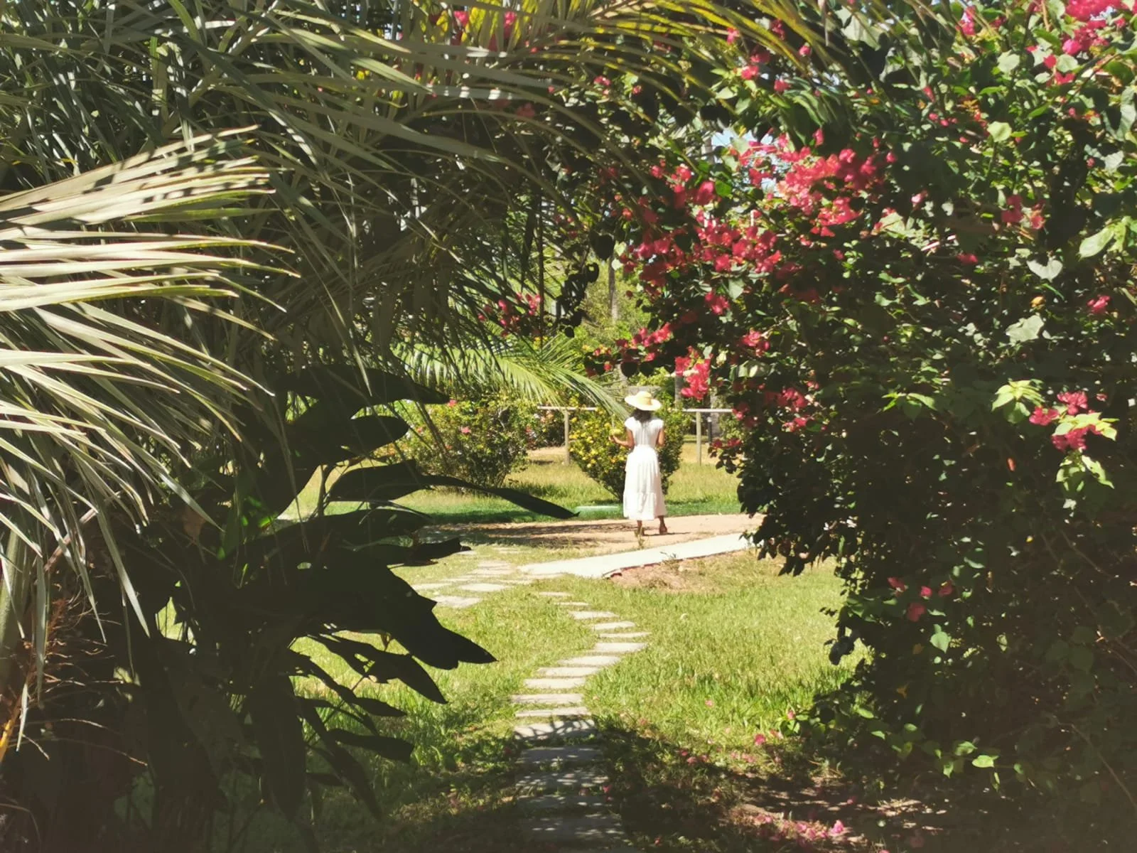 WhatsApp Image 2023-05-30 at 9.47.44 AM.jpeg