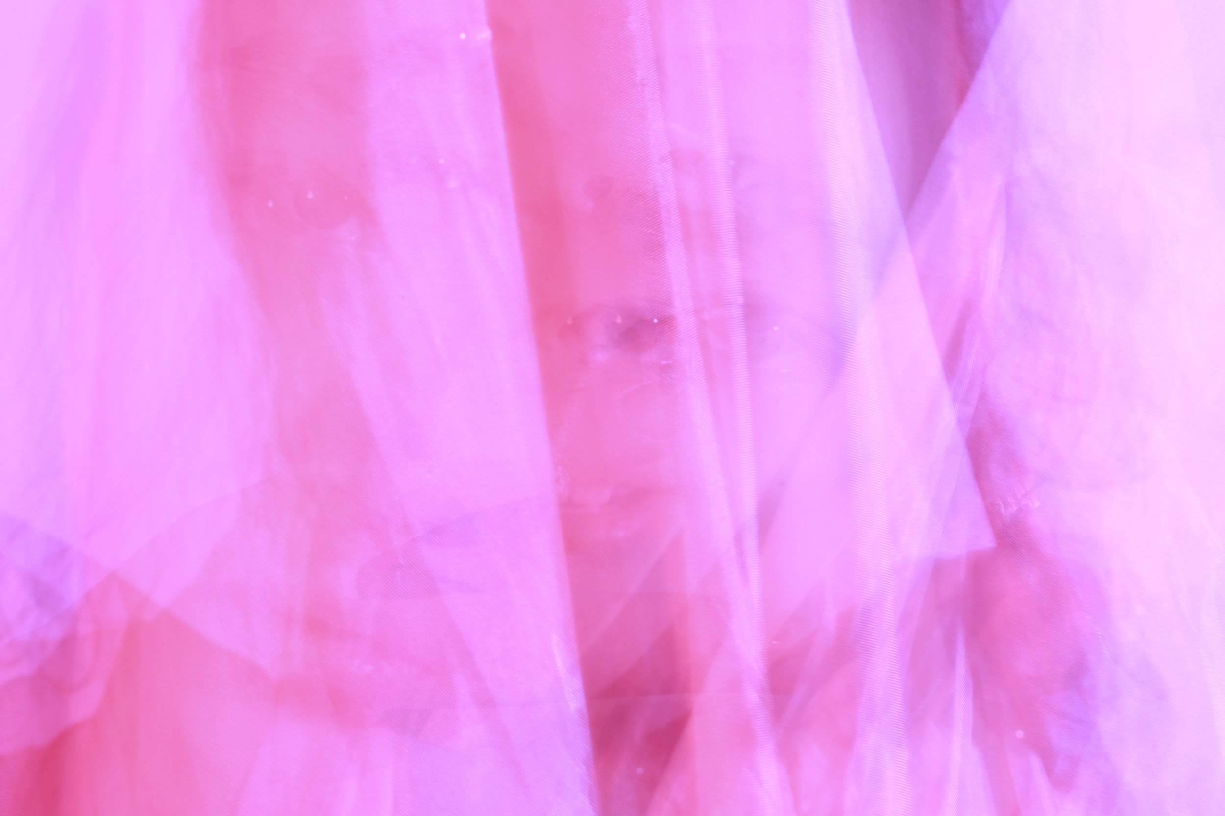 _A8A7928.JPG