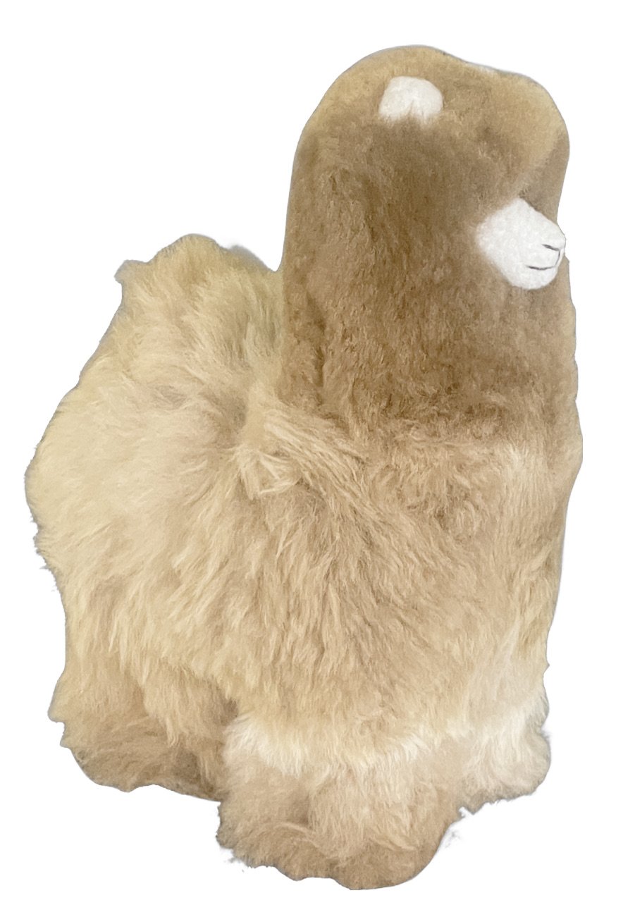 Shupaca 12 inch alpaca plush.jpeg