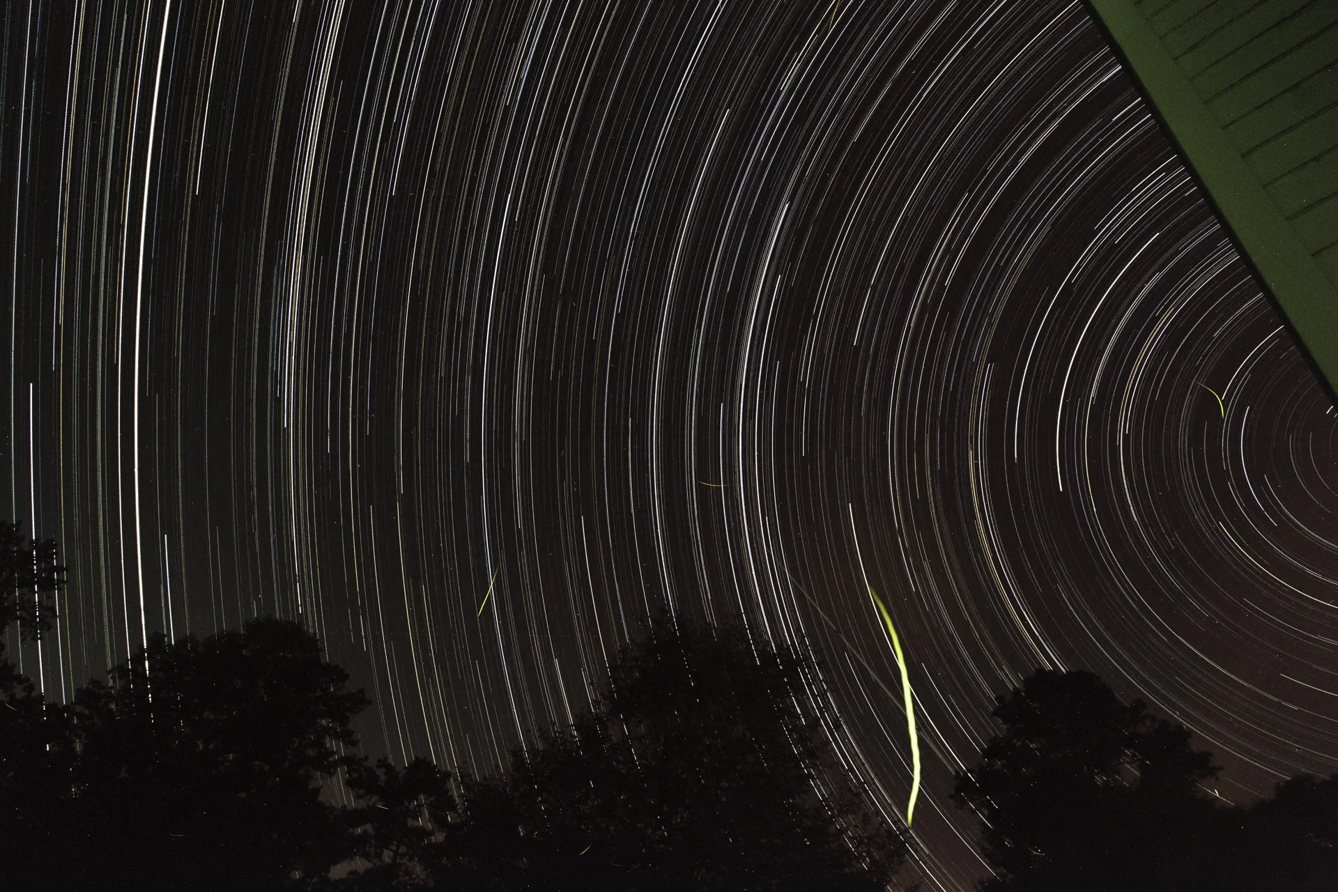 FullRes-Misbehaving Stars--20150622.jpg