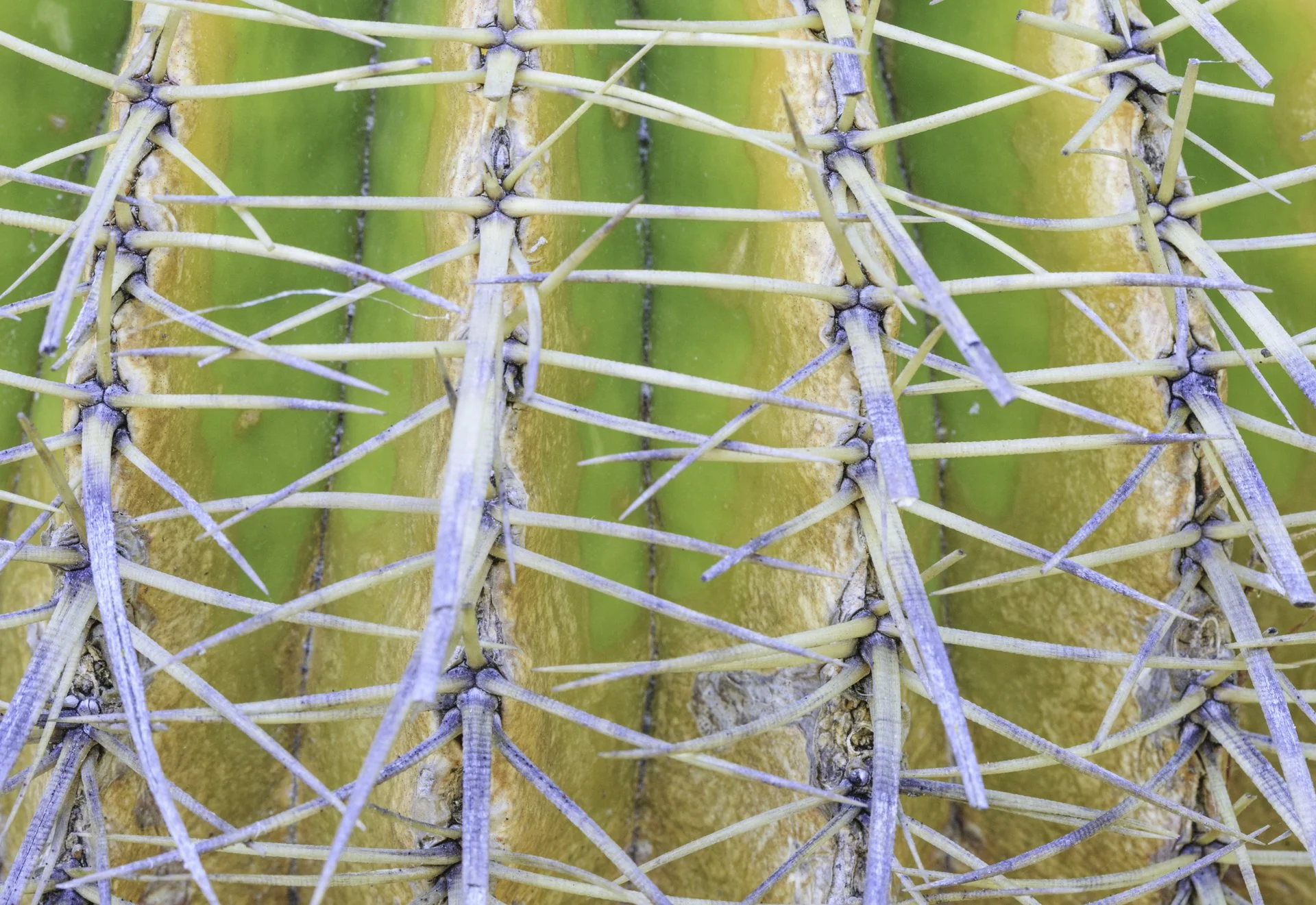 FullRes-Something Sharp-10259-20170401.jpg