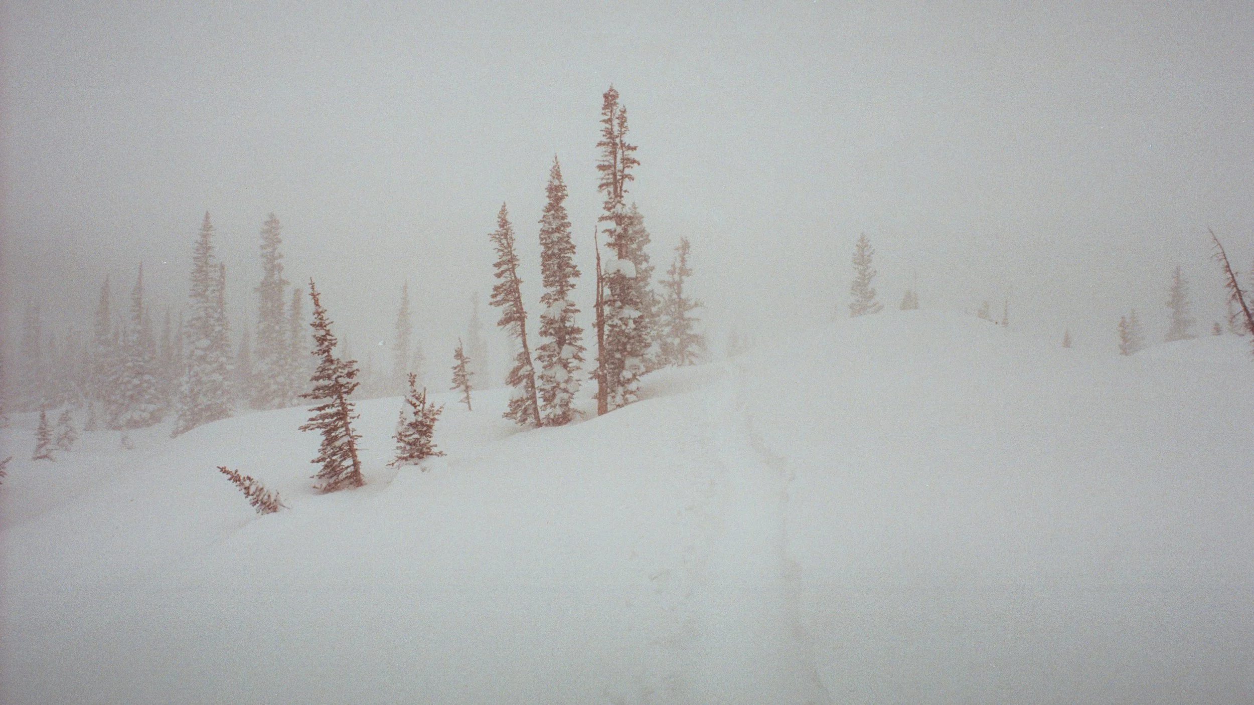 Photographer Spotlight: Michael Fitch