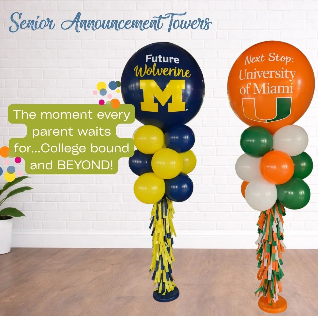 Senior Announcement Towers