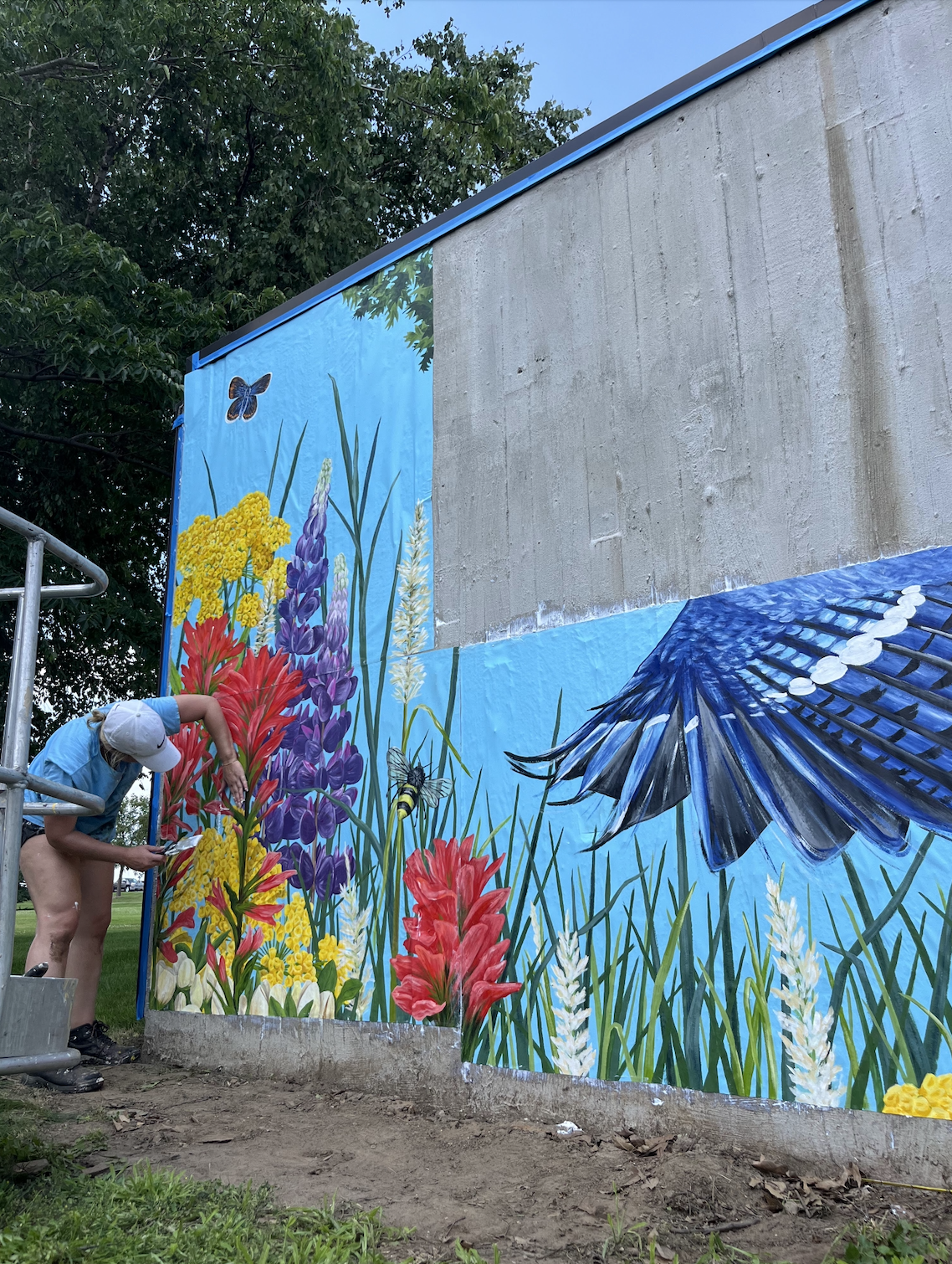 Screenshot 2024-08-16 at 5.12.48 PM.png