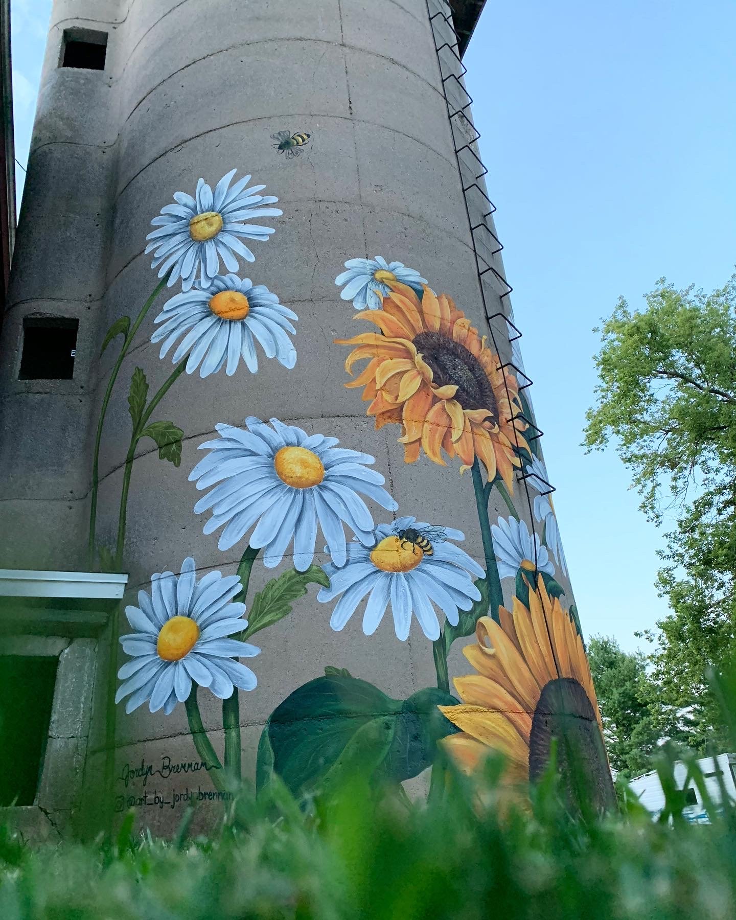 Image 7 - Hameister Silo.JPG