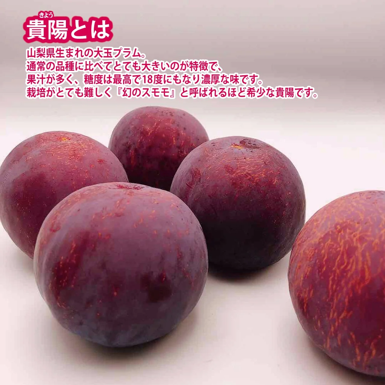 山梨 生まれの高級 プラム 貴陽 をご存知ですか？ — いちやま