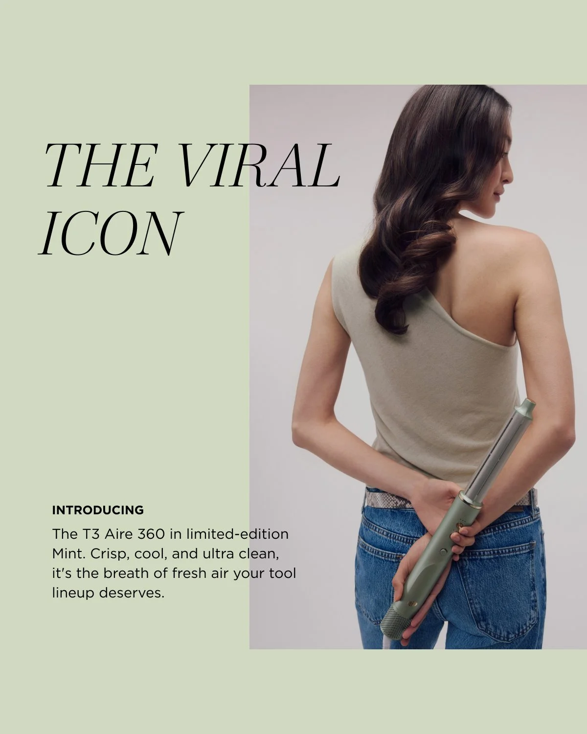 12 Mint Post - Carousel_2.jpg