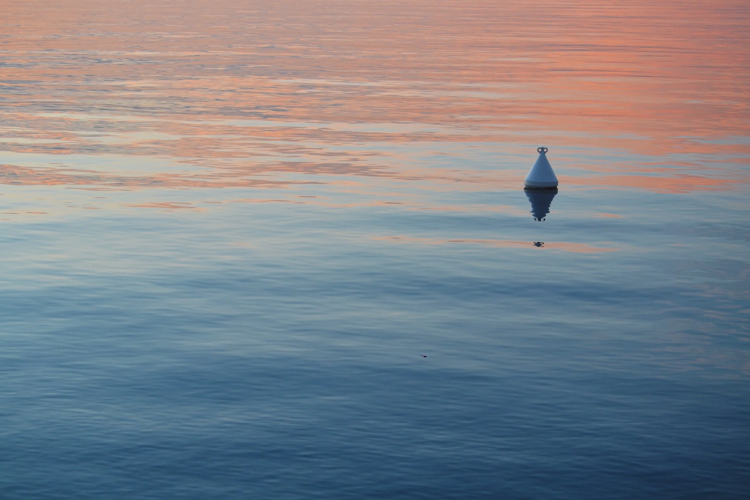 What is Mindfulness? — Rise Counseling Treasure Coast