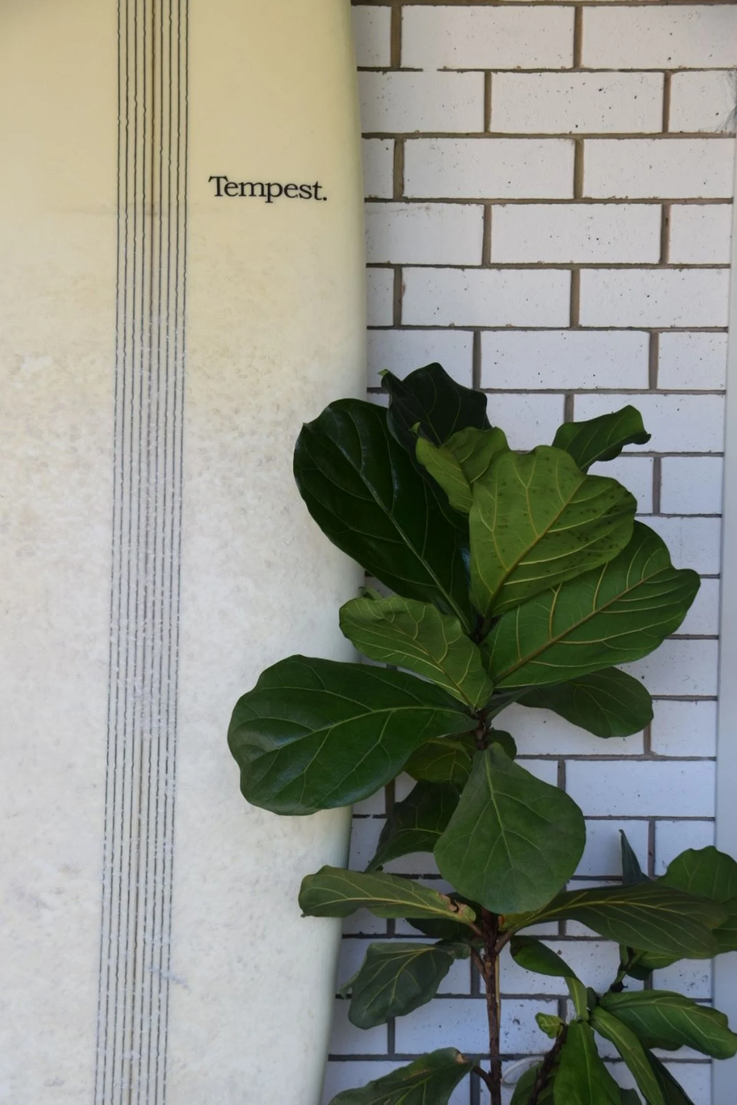 Helios Interiors Exterior Dining and Living Styling