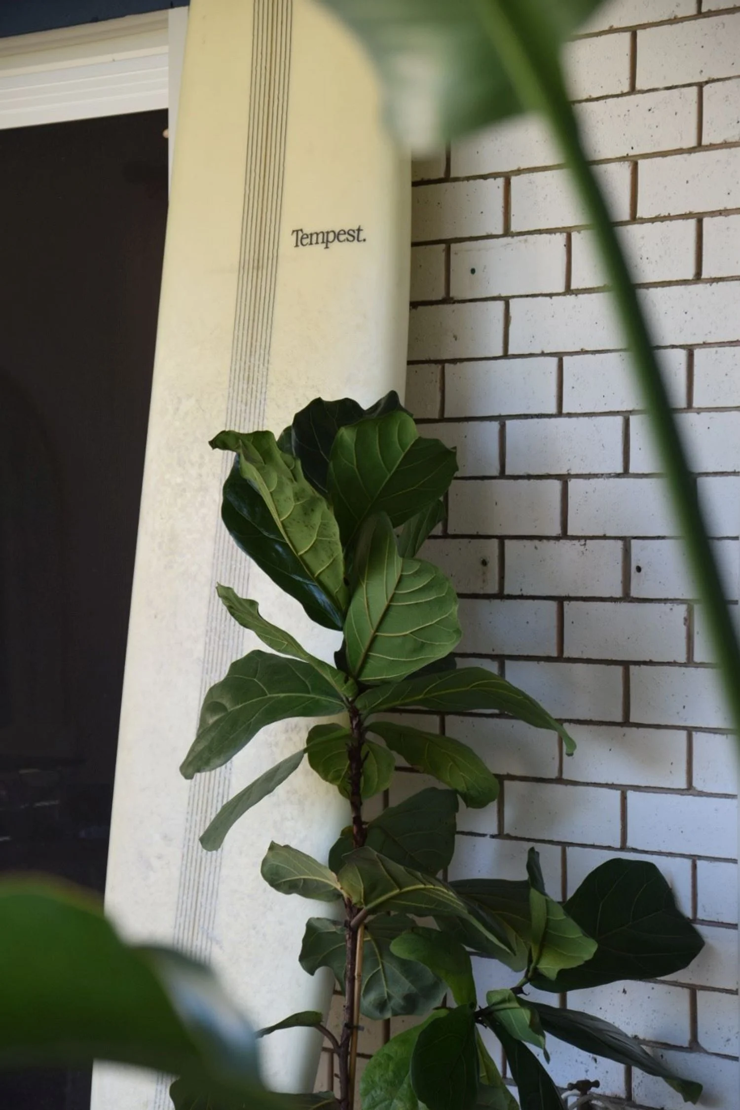 Helios Interiors Exterior Dining and Living Styling