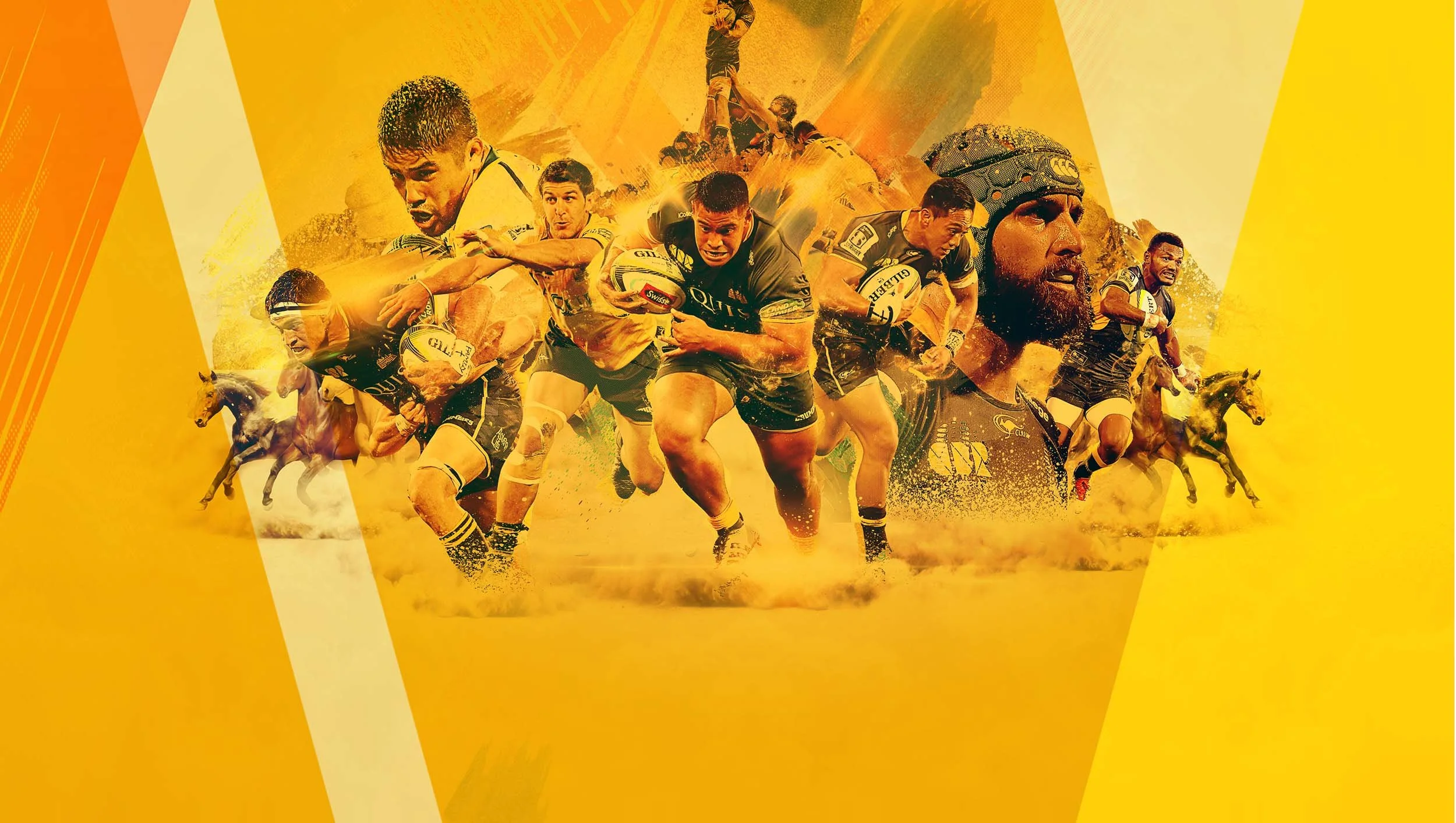 Brumbies11.jpg