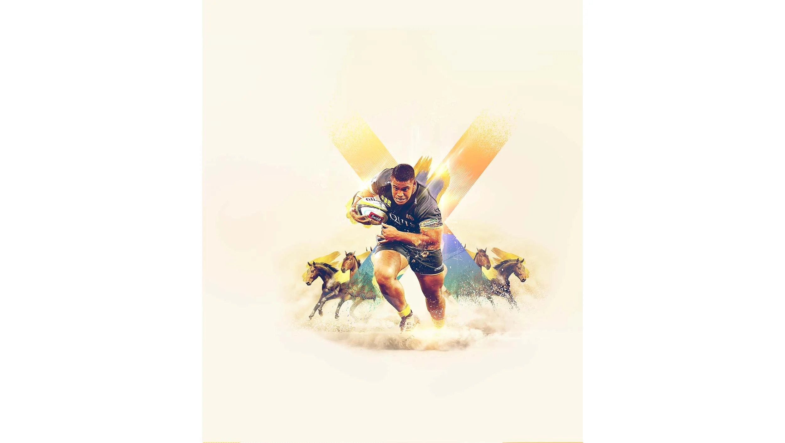 Brumbies4.jpg