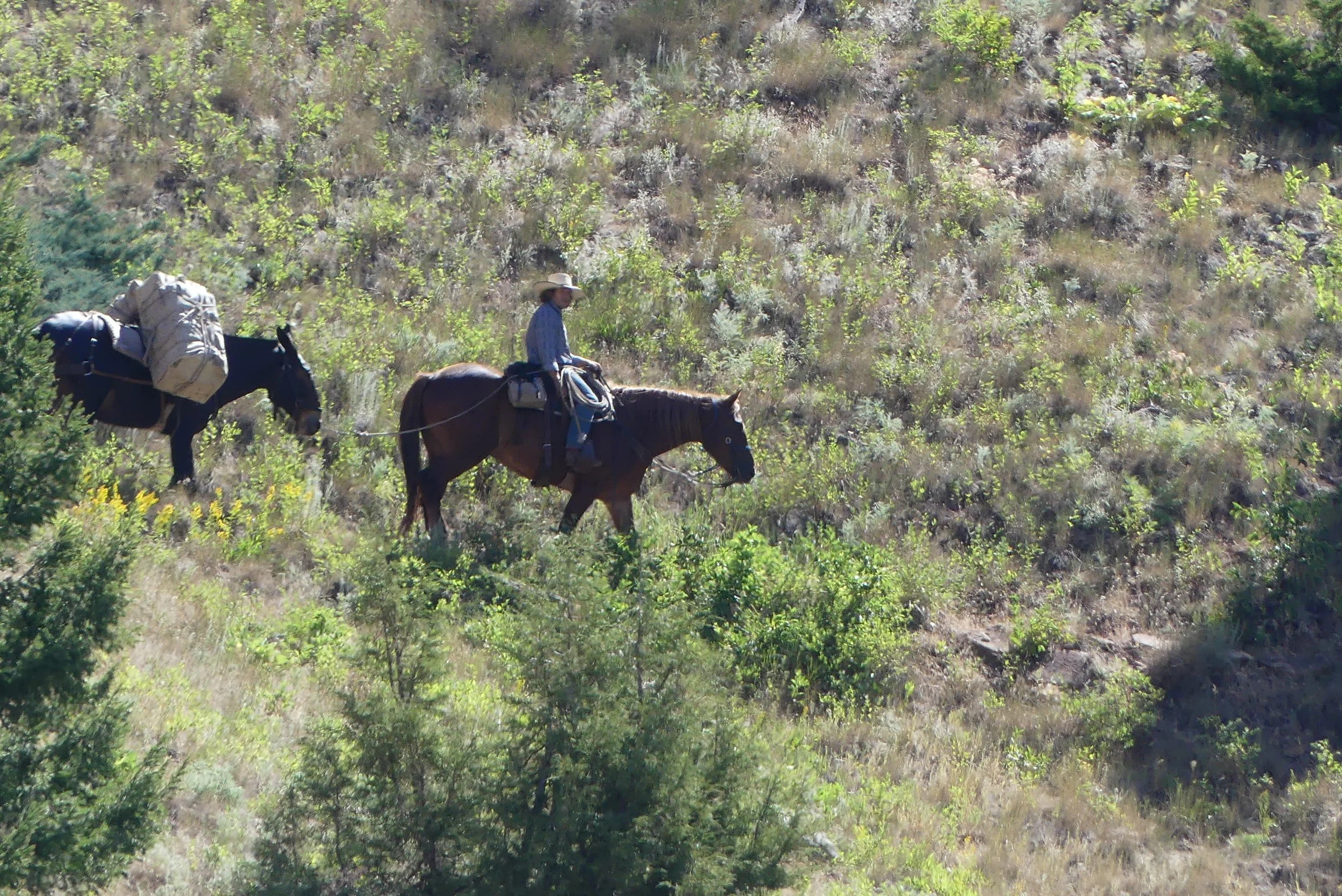 P1000779.jpg