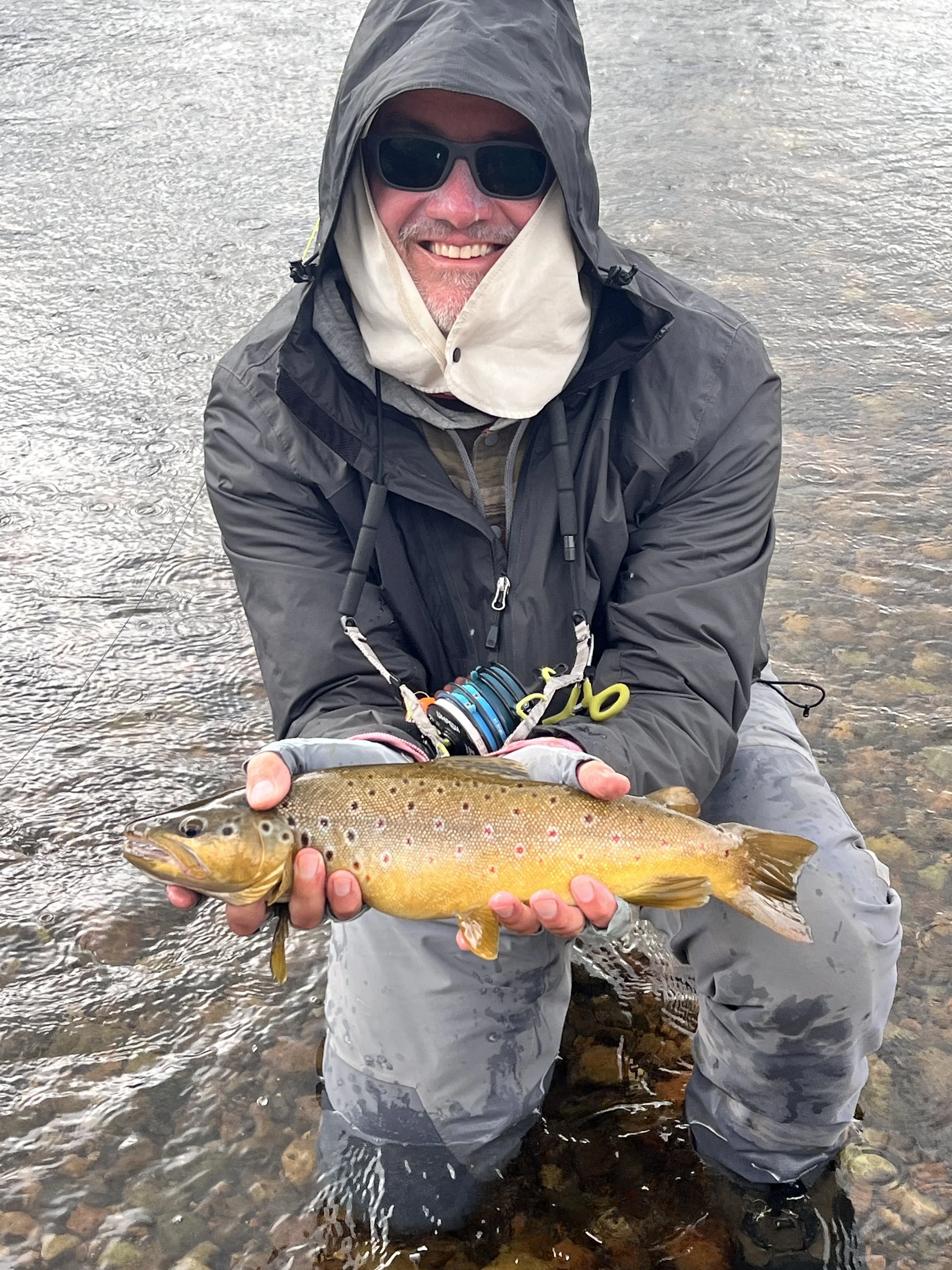 Tony With a Nice Brown