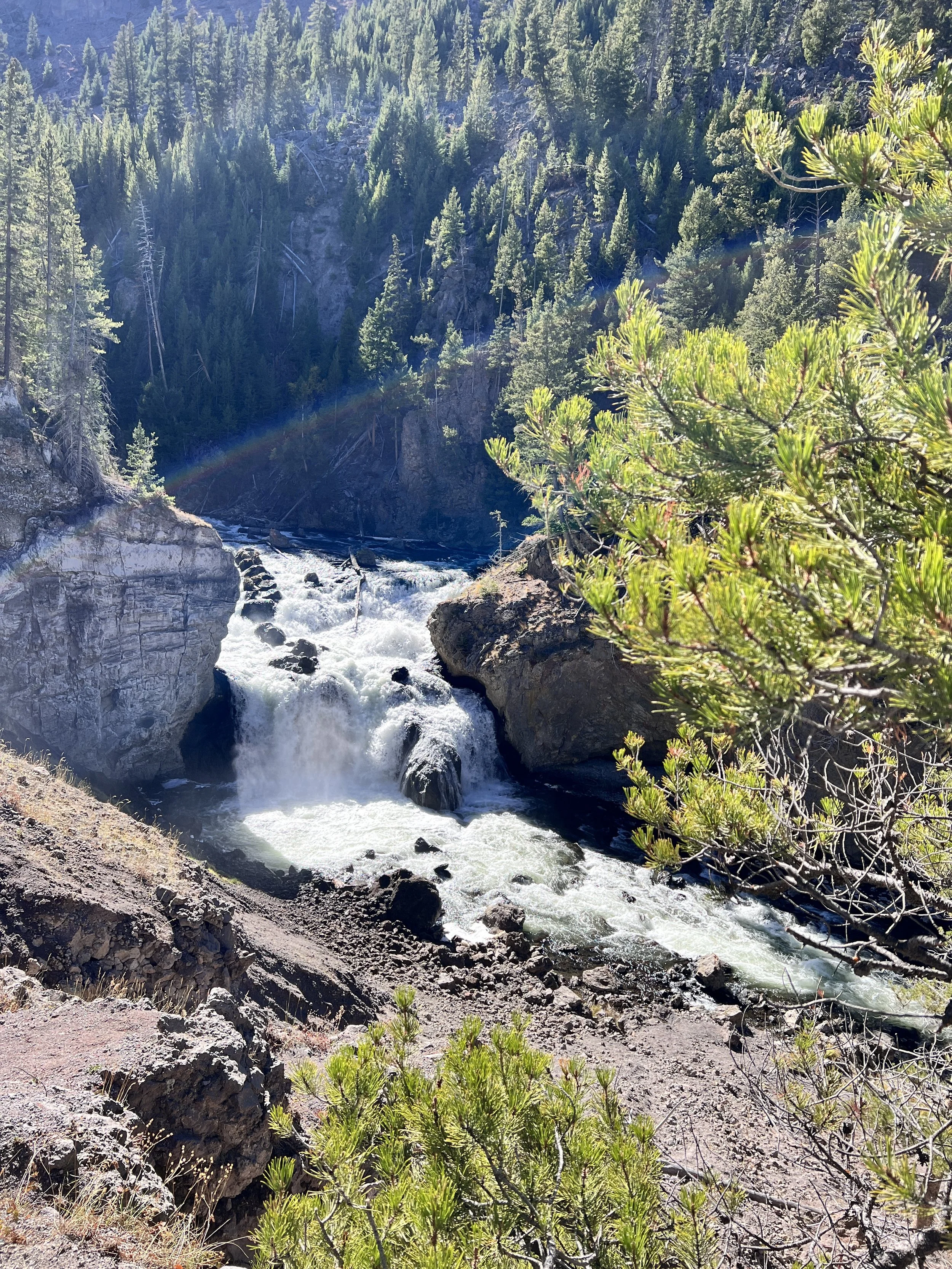 Falls on the Upper Madison River