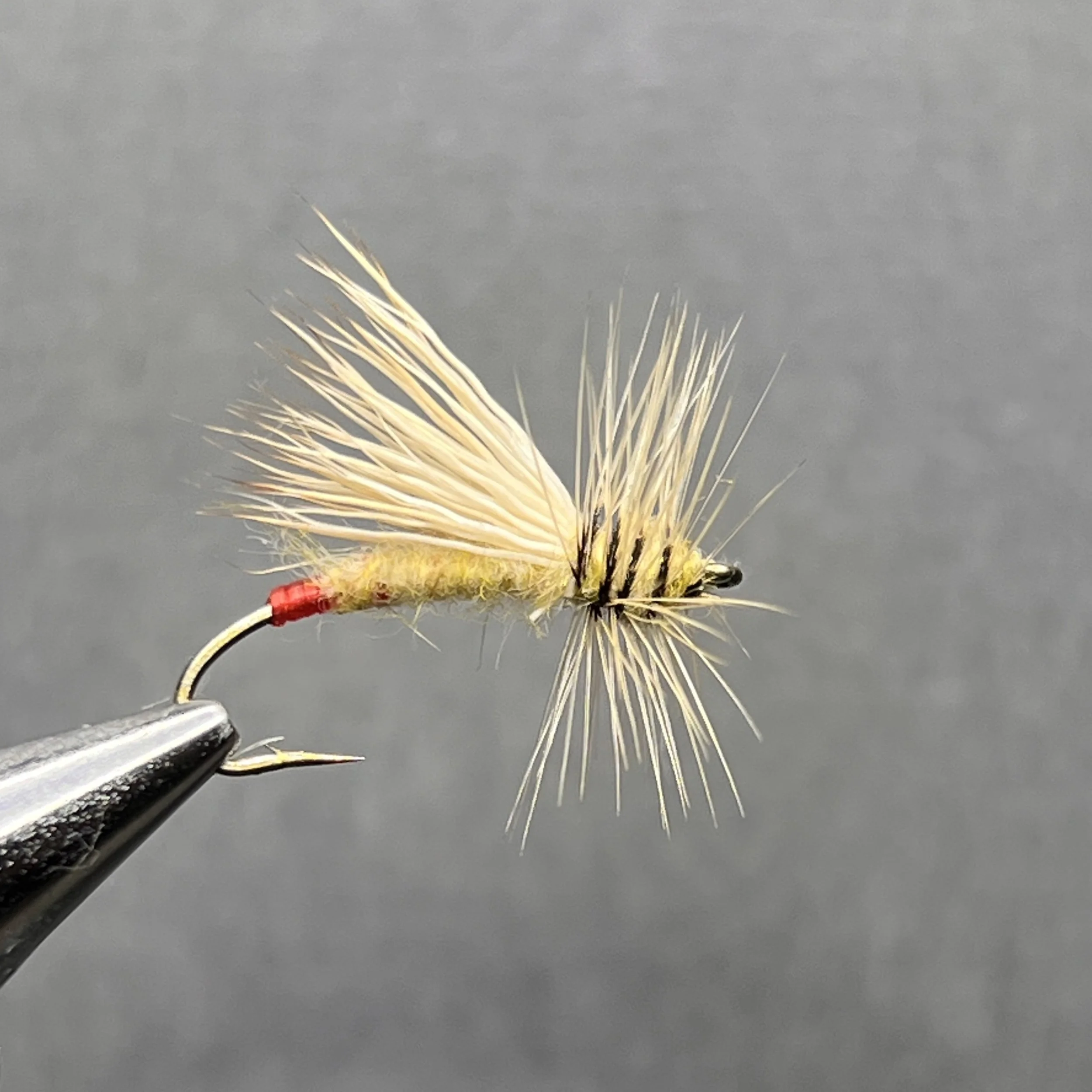 Adventures in Trip Planning 