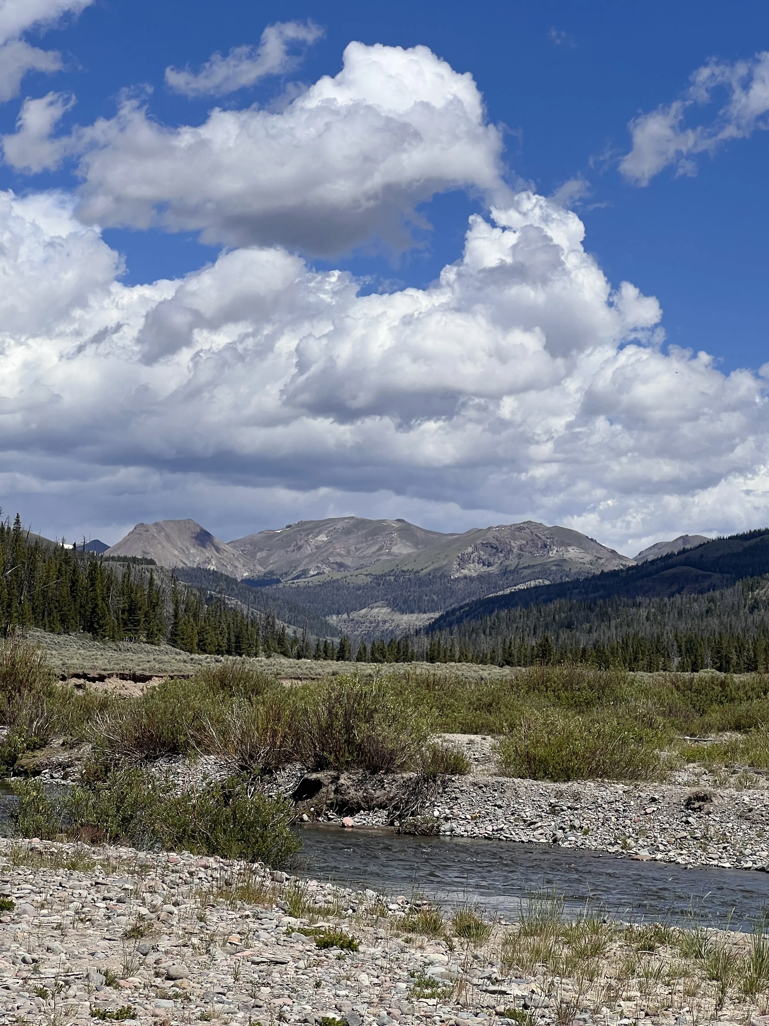 Upper East Fork