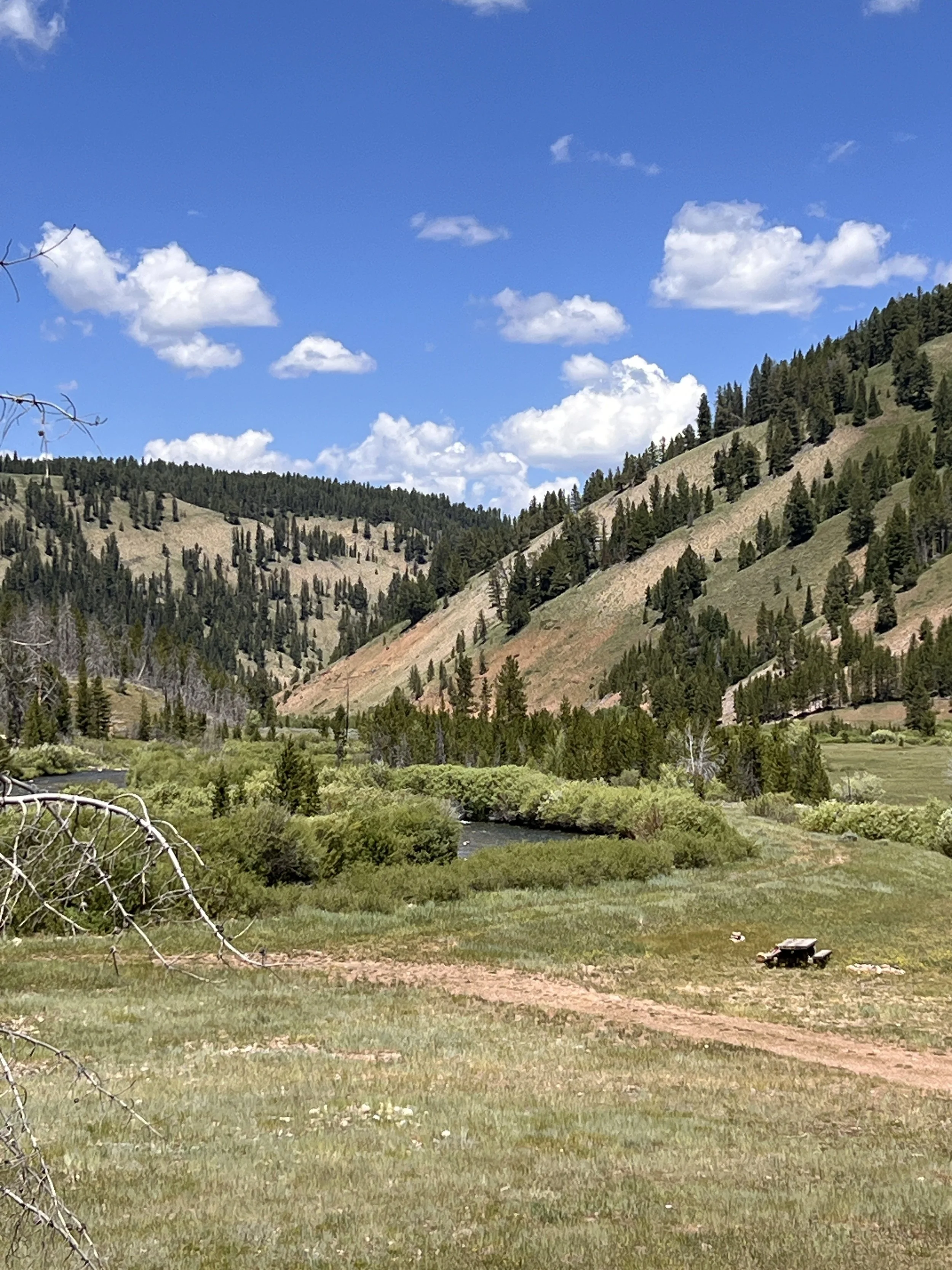 Upper Greys River Valley