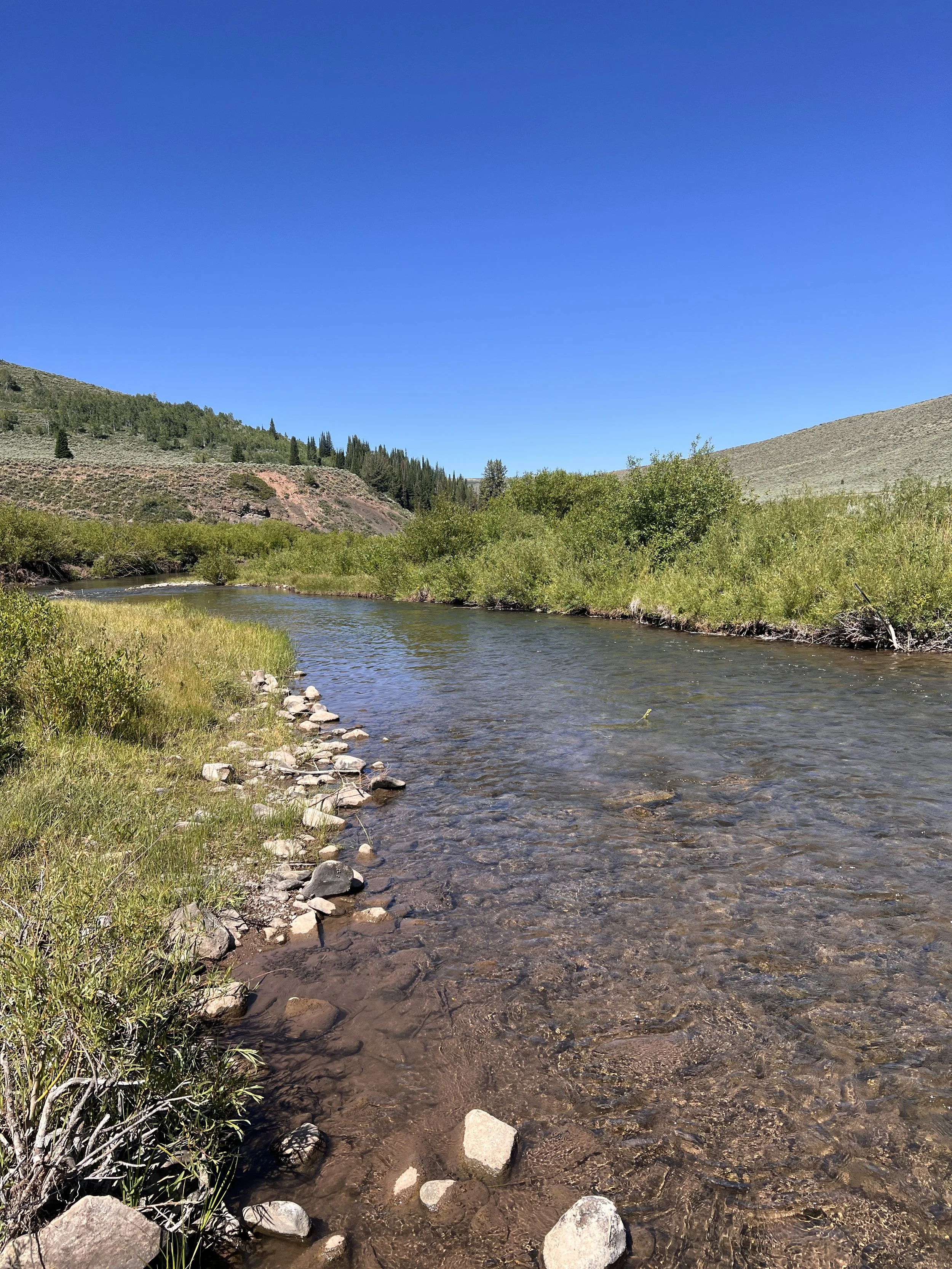Upper Smiths Fork River