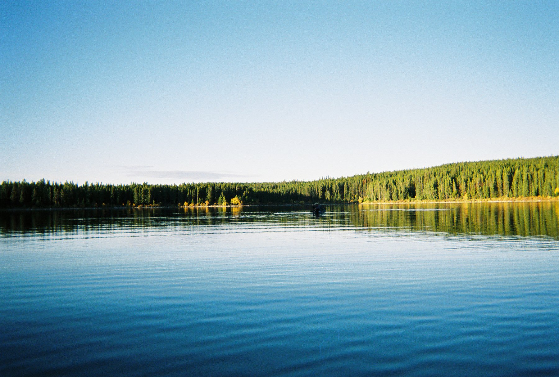 5932550-R1-006-1A.jpg