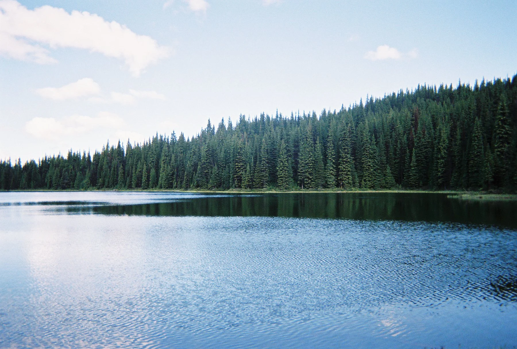 5932550-R1-044-20A.jpg