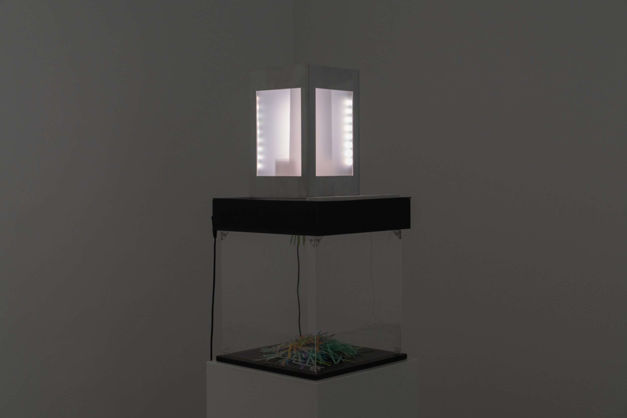 Forgetting Lamp