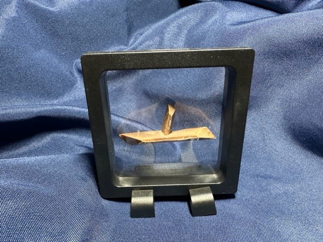 frame2.jpg