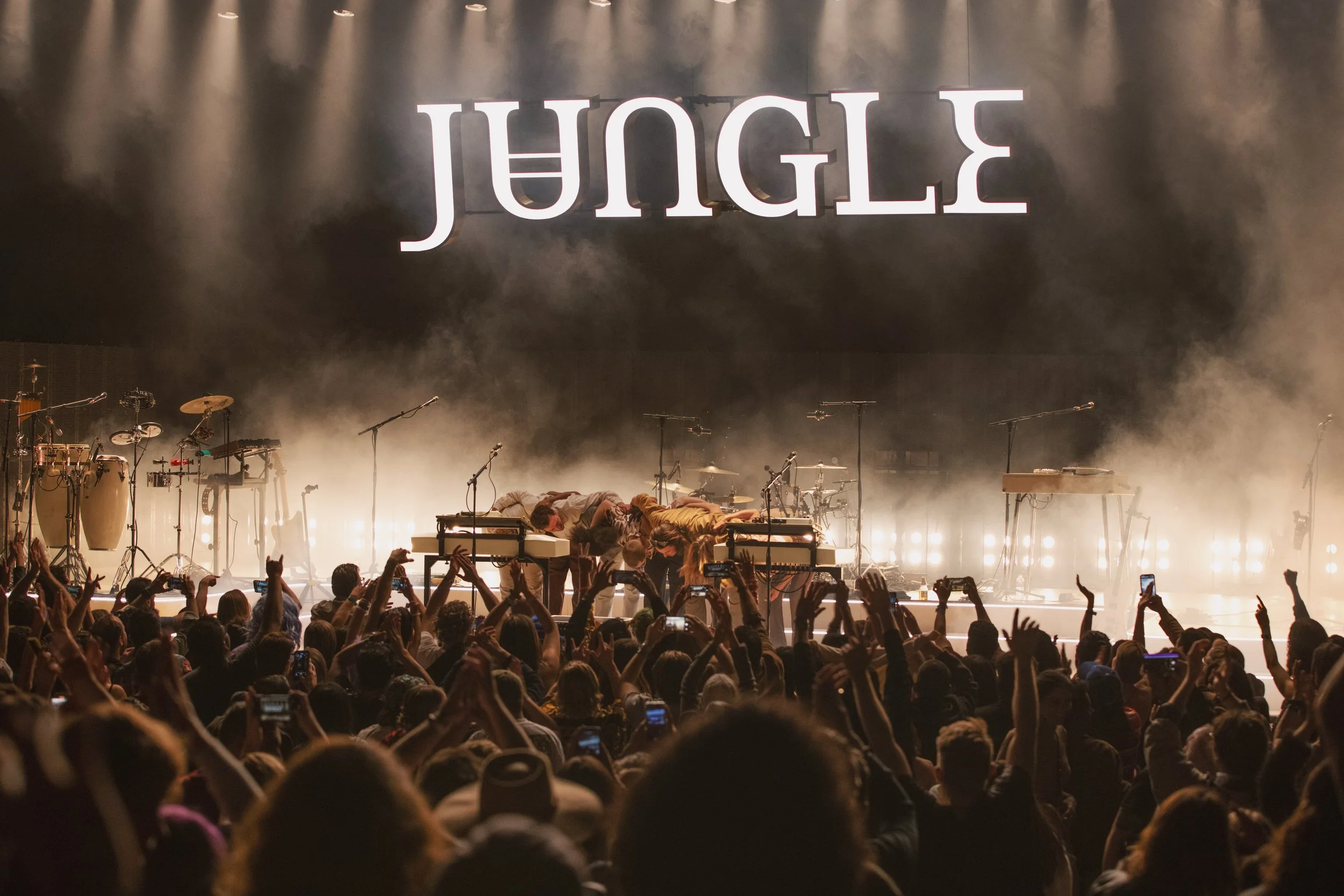 jungle-9.JPG