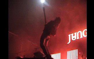 Jungle_Mini_DV_copy_AdobeExpress.gif