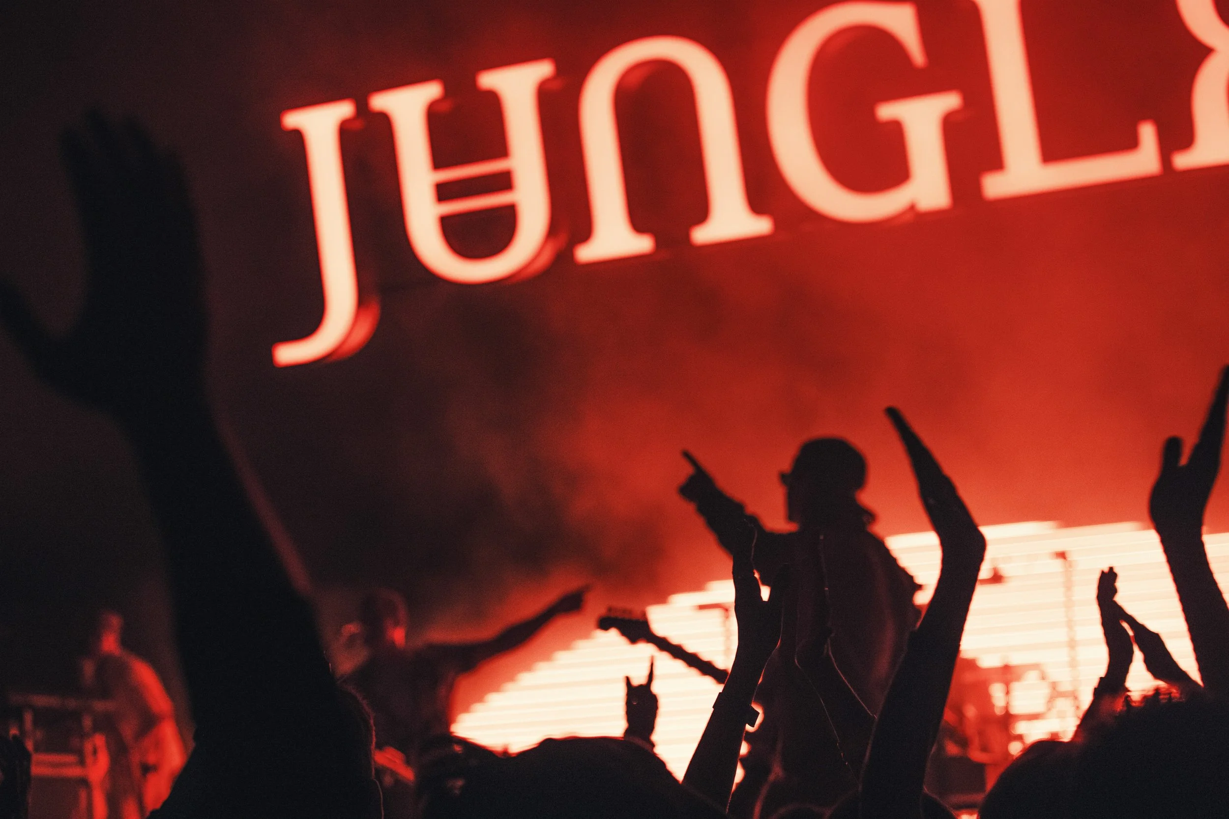 jungle-om-1.JPG