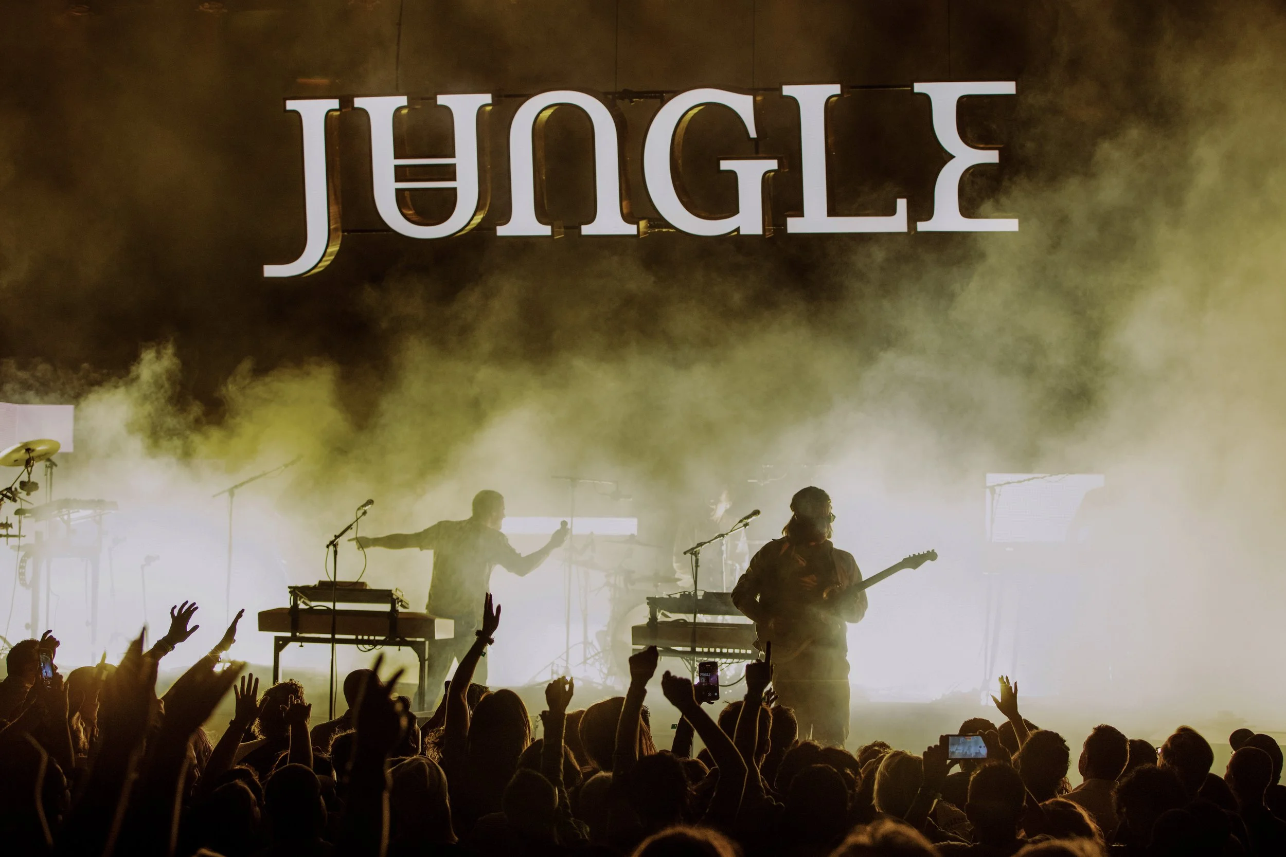 jungle-om-2.JPG