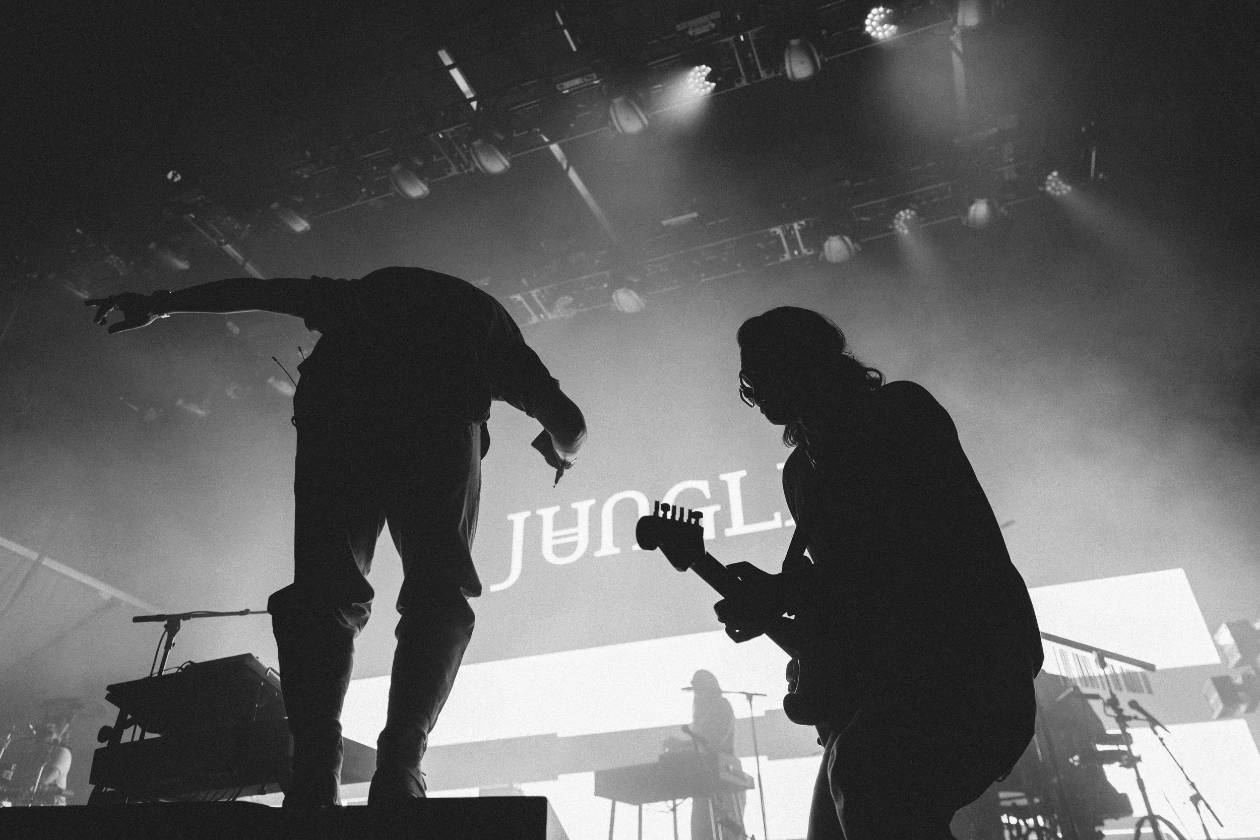 jungle-om-7.JPG