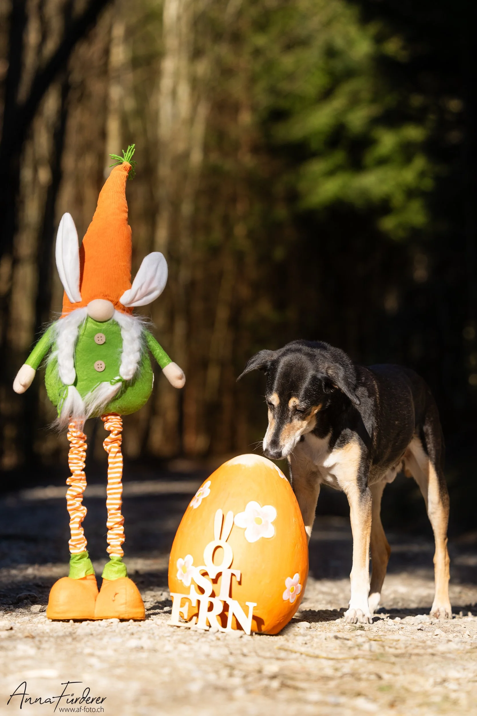 Gefahren für Hunde an Ostern