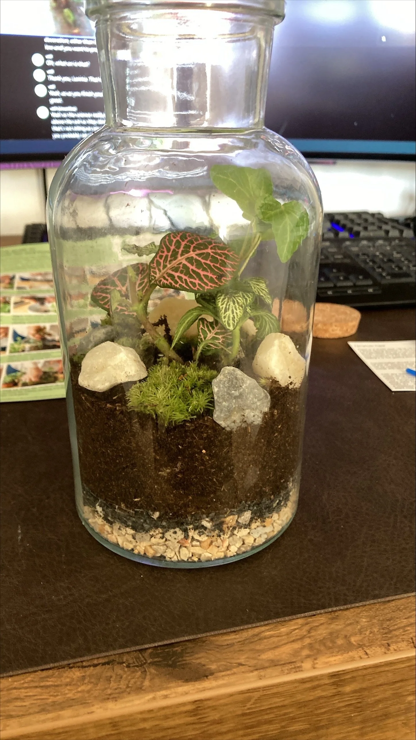 Virtual Terrarium Workshops For Team Bonding — The Together Collective