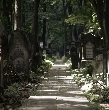  Cemetery Tour of LGBTQ+ History. 
Take a tour of one of four London cemeteries, guided by our hosts to delve into fascinating LGBTQ+ history.
 From £800. 
 
Delivery: In-person,
Objective: Diversity & inclusion awareness,
Duration: Bite sized events