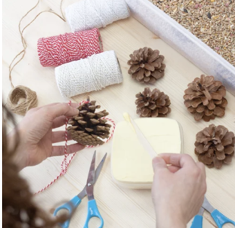  Eco-Bird Feeder Making. 
Get ready to birdwatch! Craft a biodegradable pinecone bird feeder packed with yummy treats, perfect for the garden.
 Please enquire for a quote. 
 
Audience: Kids,
Activity: Hands on & Creative Activity,
 