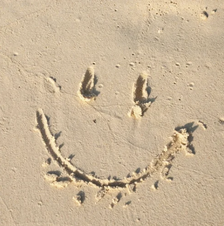   Reconnect To Your Sunshine. 
This uplifting workshop helps participants awaken energy, boost positivity, and reconnect with their inner joy through movement, mindfulness, and personalised exercises, leaving them refreshed, radiant, and ready to shi