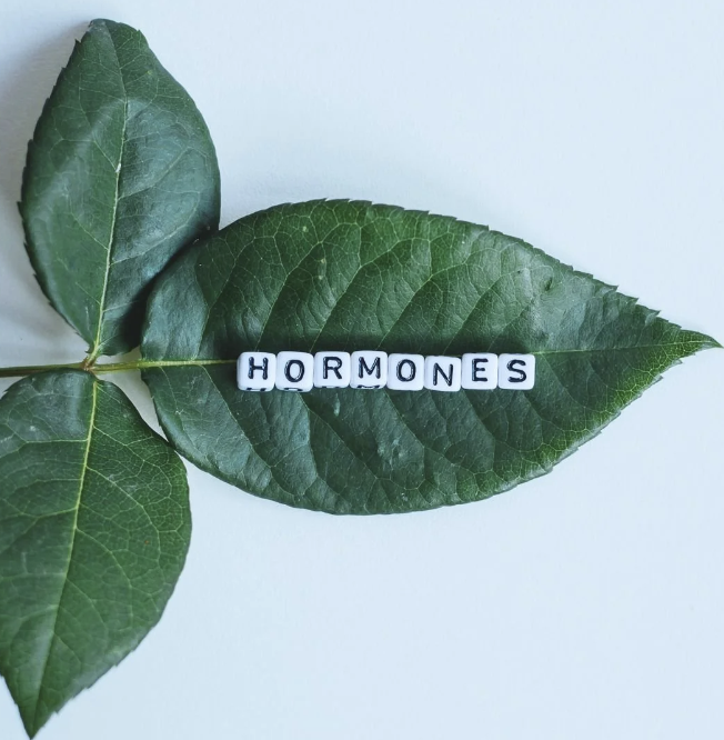  Virtual Talk: An Inspiring Introduction To Hormones. 
Learn about hormones, how to control them and why they are different for every woman. Hosted by our menopause expert.
 From £600. 
 
Delivery: Virtual,
Objective: Health & nutrition,
Duration: Bi