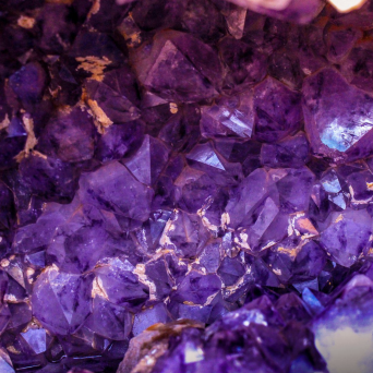 Bring Your Values to Life!