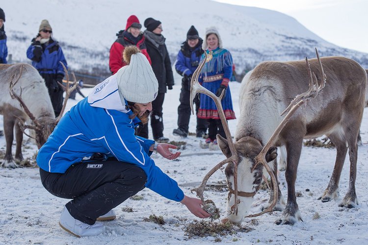 Reindeers+Feeding+the+reindeer.jpg