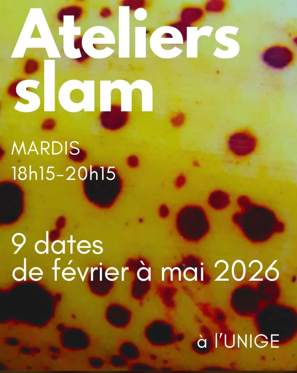 Atelier slam mensuel (Genève)