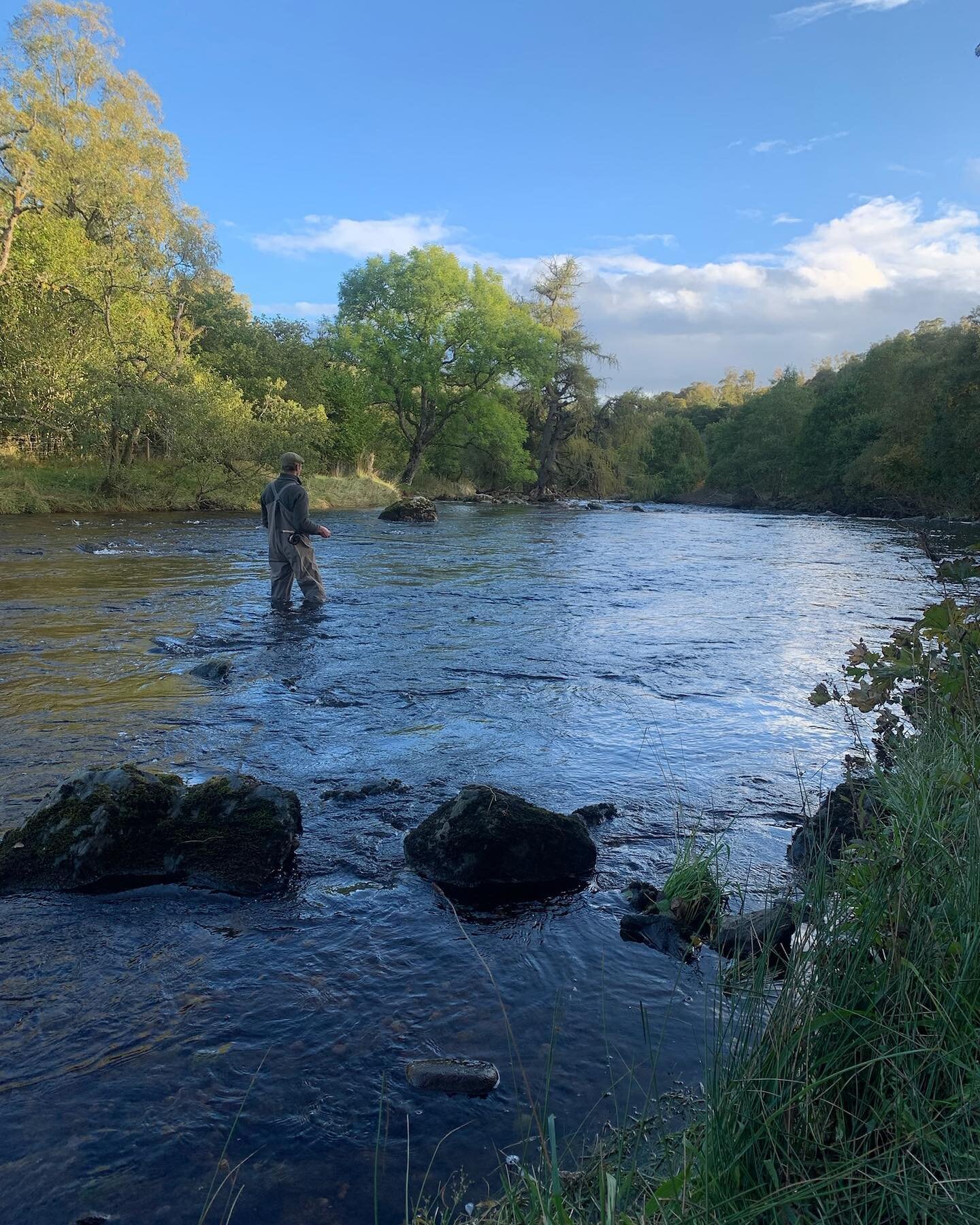 Finally some water on the river as the season draws to a close on 15 October.
.
.
.

#scotland #staycation #perthshire #cairngorms #glenshee #holidaylet #outdoors #wildlife #nature #countryescape #fishing #lochs #hiddenscotland #ruralretreat #dogwalk