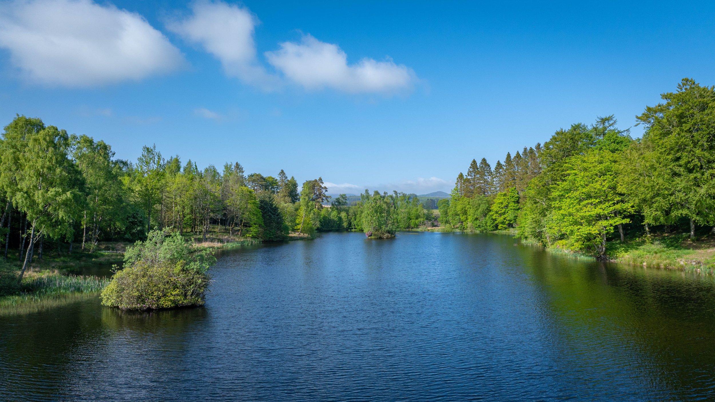 DJI_20260527233246_0026_D (1).jpg
