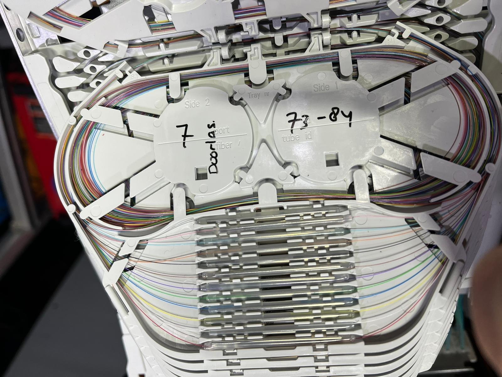 WhatsApp Image 2024-02-28 at 10.31.16 (1).jpeg